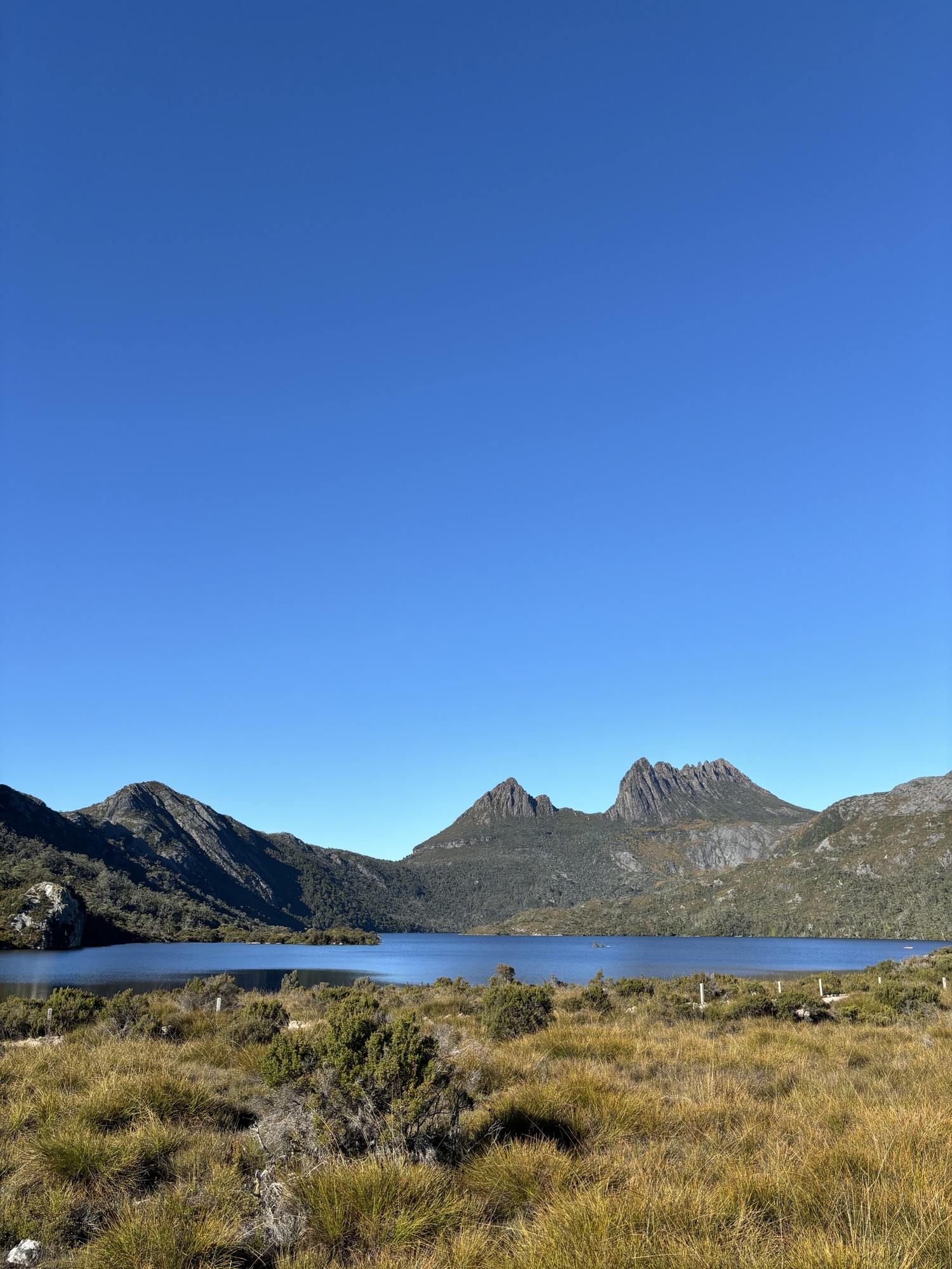 Wild coastline and forest in Tasmania