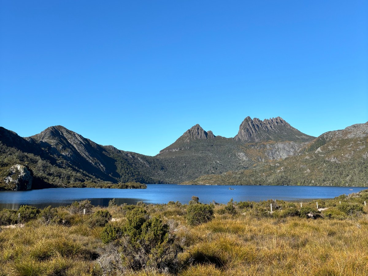 Wild coastline and forest in Tasmania